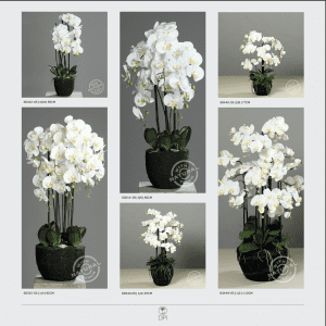 Orchid Arrangements High Quality Artificial Flowers