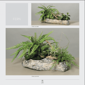 Fern Greenery Plants Home Decor